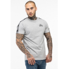 T-SHIRT BRINDISTER GRIS LONSDALE