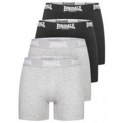 BOXER EAST CHALLOW LONSDALE