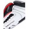 GANTS CYCLONE BENLEE