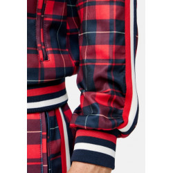 SURVETEMENT WICKSTONE LONSDALE